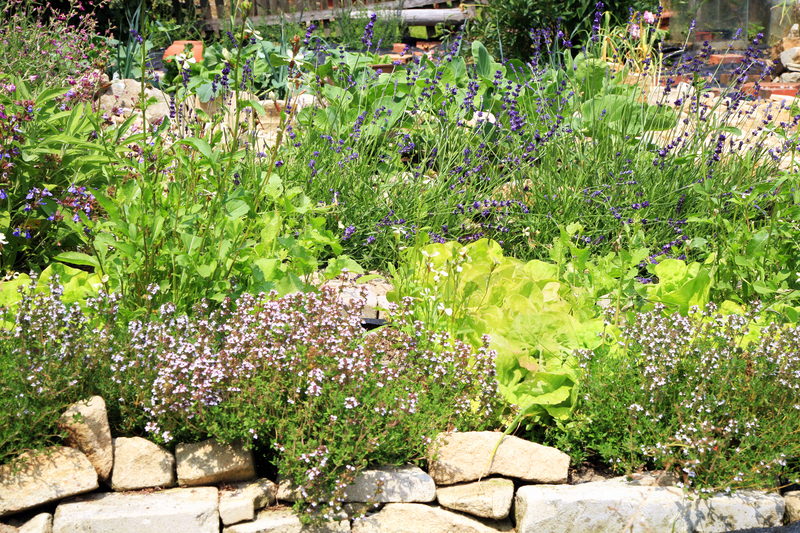 garden yard